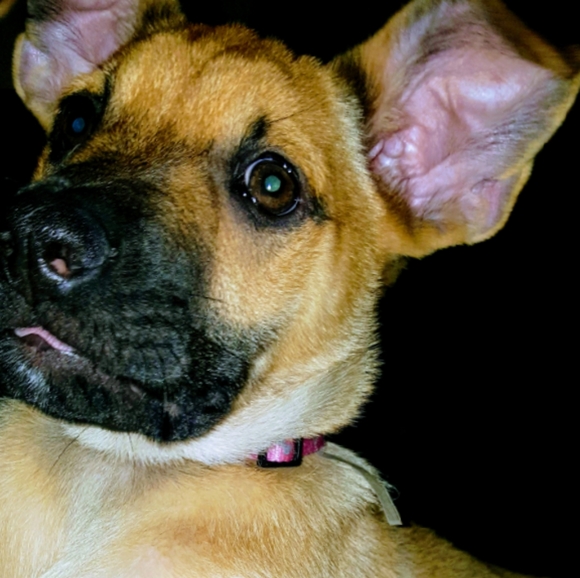 Meet Me!!! :) - Picture 3 of 8